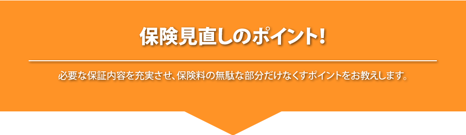 
			保険見直しのポイント！
			必要な保証内容を充実させ、保険料のムダな部分だけなくすポイントをお教えします。
			